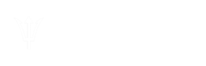 Paxos Transfer Services